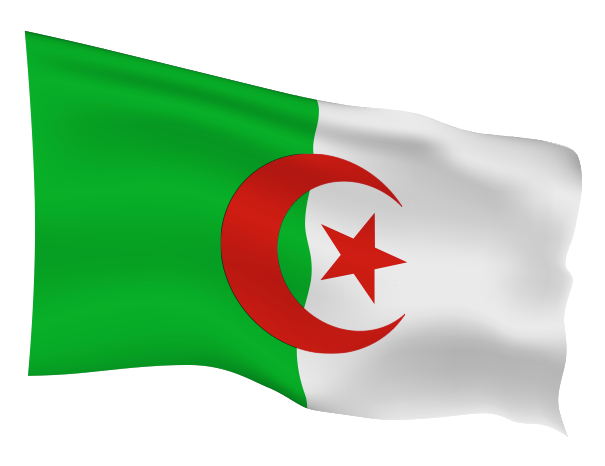 Algeria Flag Scalable | Cheap Vector Art